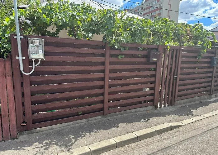 Tiny Traditional House Будинок відпочинку Бухарест